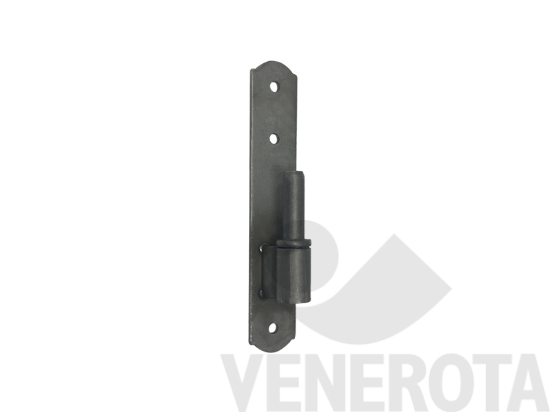 Immagine big Immagine di Cardine su piastra ferro grezzo GB Bonacina