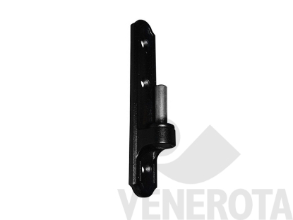 Immagine di Cardine su piastra Roto