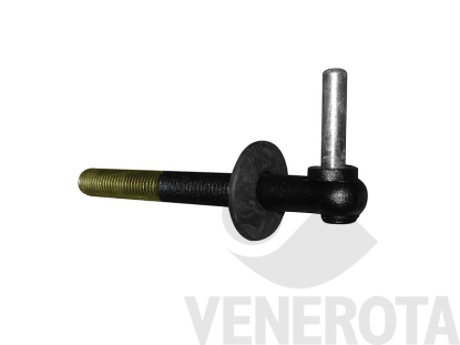 Immagine di Cardine filettato Roto