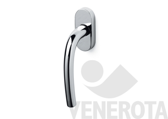 Immagine big Immagine di Martellina DK Tizianella F tonda Olivari