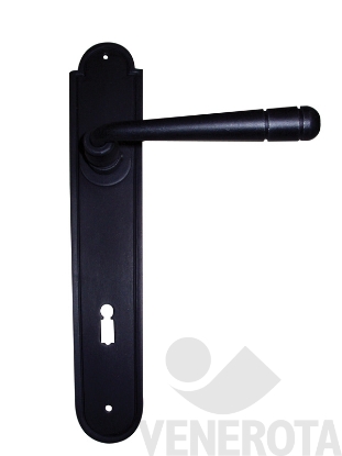 Immagine di Maniglia Berna con placca senza molla Galbusera