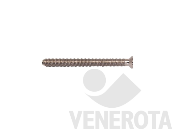 Immagine big Immagine di Vite per cilindro AGB