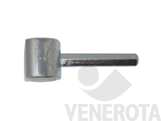 Immagine big Immagine di Gira anuba SFS