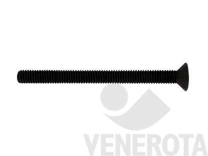Immagine di Vite metrica Testa Svasata Piana (TSP) con esagono inc...