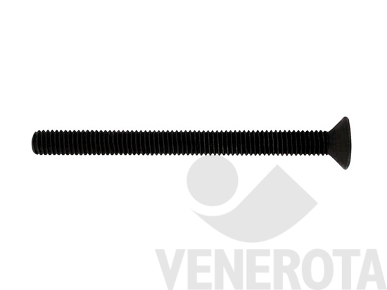 Immagine big Immagine di Vite metrica Testa Svasata Piana (TSP) con esago...