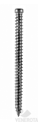 Immagine di Turboviti Testa Cilindrica (TC) zincate