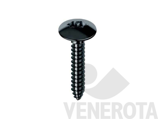 Immagine big Immagine di Viti Testa Cilindrica (TC) per persiane e scuri