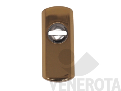 Immagine di Bocchetta di protezione per cilindro Steel Fastup Disec