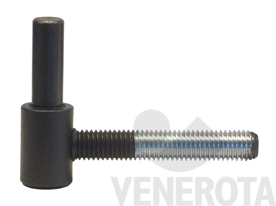 Immagine big Immagine di Cardine filettato con perno fisso per controtela...