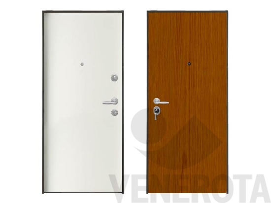 Immagine big Immagine di Porta blindata mono cilindro telaio argento Stee...