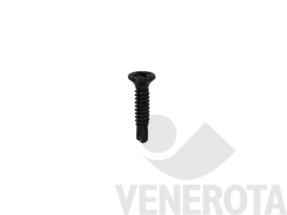 Immagine di Viti Testa Svasata con calotta (TSC) nere