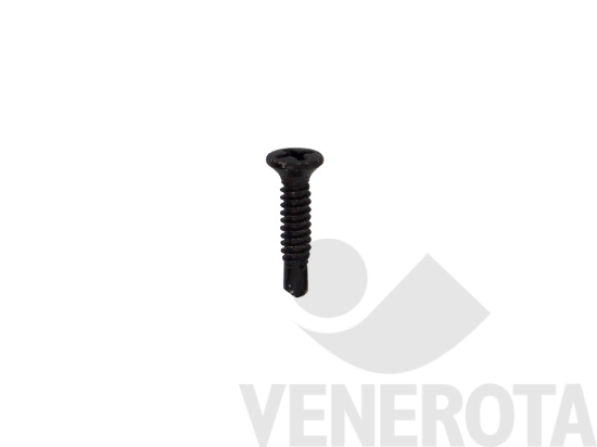 Immagine big Immagine di Viti Testa Svasata con calotta (TSC) nere