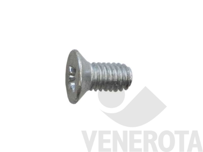 Immagine di Vite Testa Svasata Piana (TSP) per movimento angolare ...