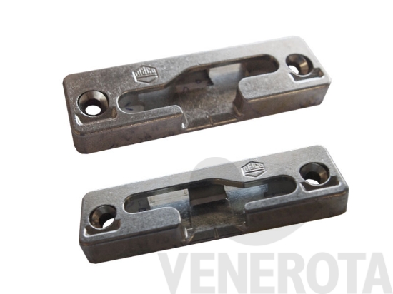 Immagine big Immagine di Incontro fungo PAS Maico