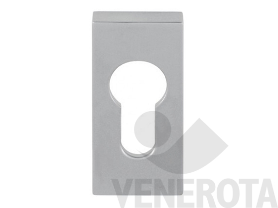 Immagine big Immagine di Bocchetta quadra - dimensioni 28x61 mm Colombo D...