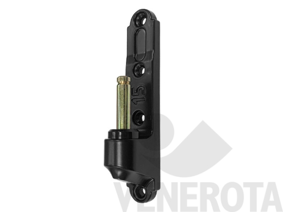 Immagine big Immagine di Cardine su piastra M2