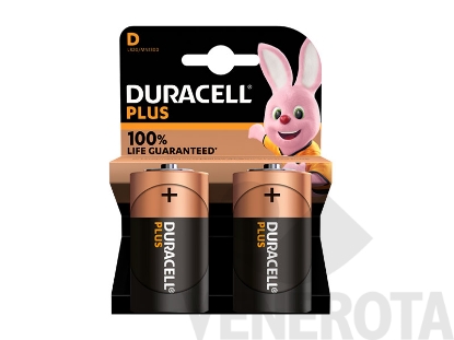 Immagine di Pile torcia Plus D Duracell MN1300