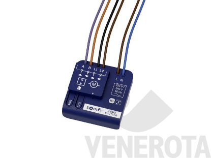 Immagine di Ricevitore Izymo IO Somfy