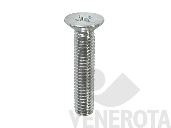 Immagine big Immagine di Viti Testa Svasata Piana (TSP) zincata per fissa...