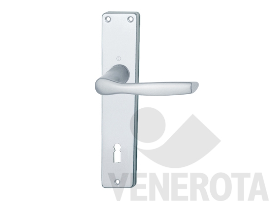 Immagine big Immagine di Maniglia Milano con placca Hoppe