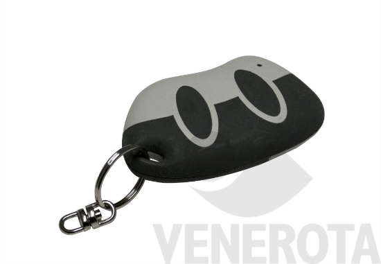 Immagine big Immagine di Telecomando a distanza KFV