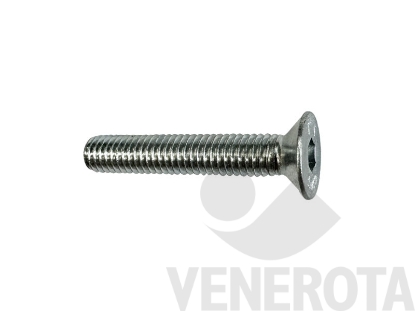 Immagine di Vite metrica Testa Svasata Piana (TSP) con esagono inc...