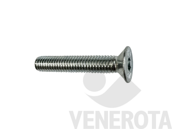 Immagine big Immagine di Vite metrica Testa Svasata Piana (TSP) con esago...