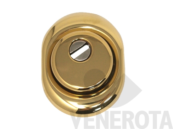 Immagine big Immagine di Protezione corazzata registrabile Monolito Disec