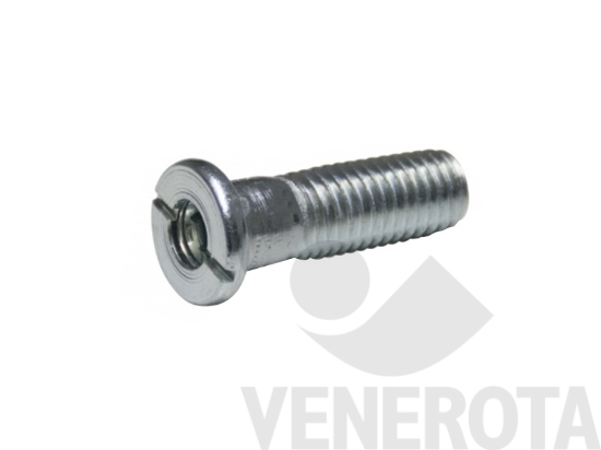 Immagine big Immagine di Vite per attacco tondo modello D Camar 868