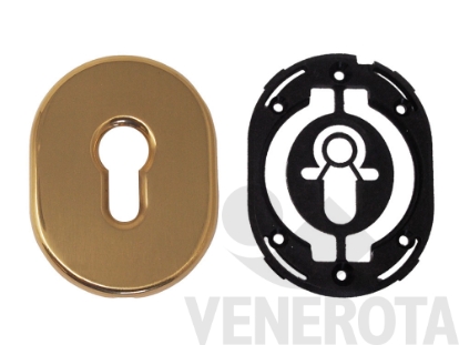 Immagine di Mostrina ribassata foro yale Disec