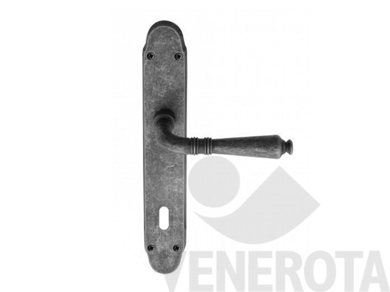 Immagine big Immagine di Maniglia Ginevra con placca Reguitti