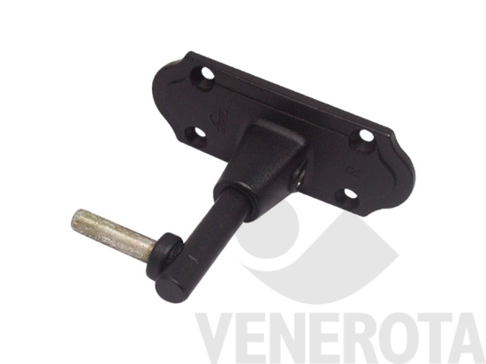 Immagine big Immagine di Cardine monoblocco su piastra Roto