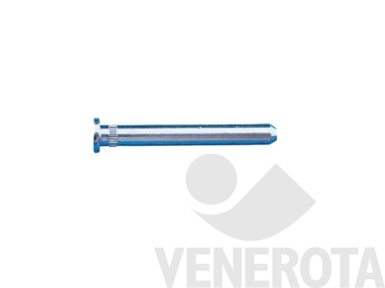 Immagine big Immagine di Perno FS T606.2 Siegenia Aubi