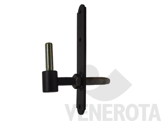 Immagine big Immagine di Cardine filettato su piastra Smeralda Didieffe