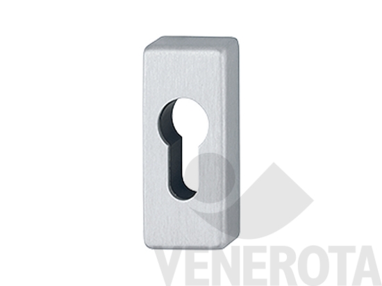 Immagine big Immagine di Bocchetta stretta 844PS - dimensioni 30x69 mm Ho...