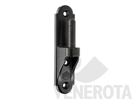 Immagine big Immagine di Cardine su piastra corto spalletta rivestita Mai...