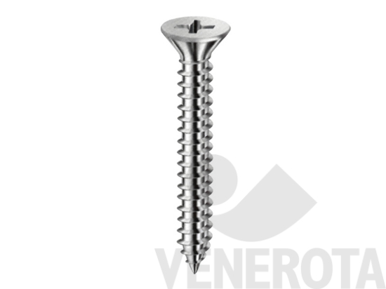 Immagine big Immagine di Viti Testa Svasata Piana (TSP) zincate autofilet...