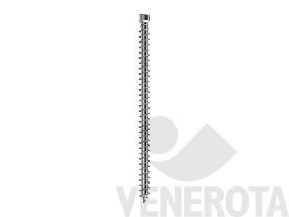 Immagine di Turboviti T15 Testa Cilindrica (TC) zincate